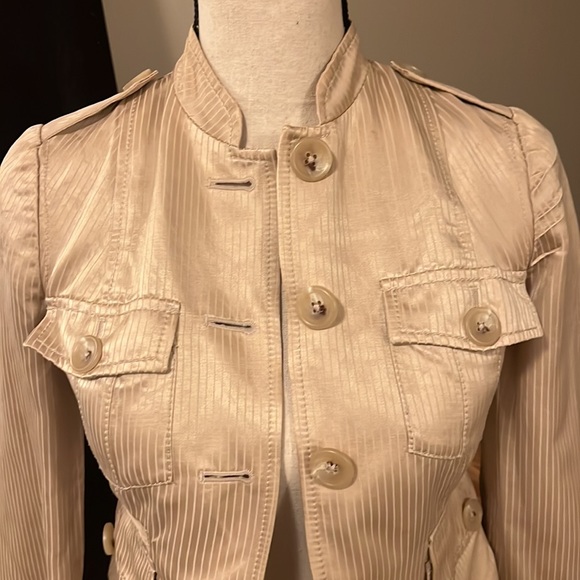 Banana Republic | Gold striped blazer - Picture 3 of 7